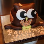 Cute Owl Cake