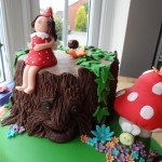 Enchanted woodland fairies cake