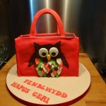 Owl handbag cake