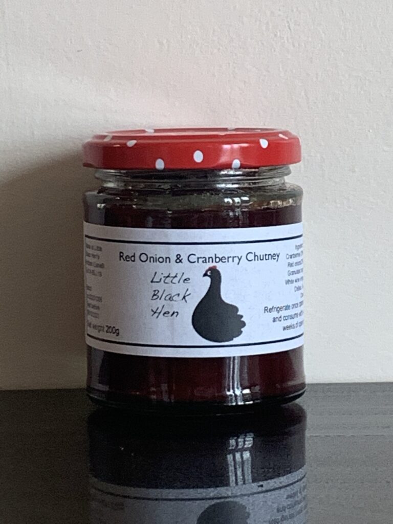 Red Onion and Cranberry Chutney